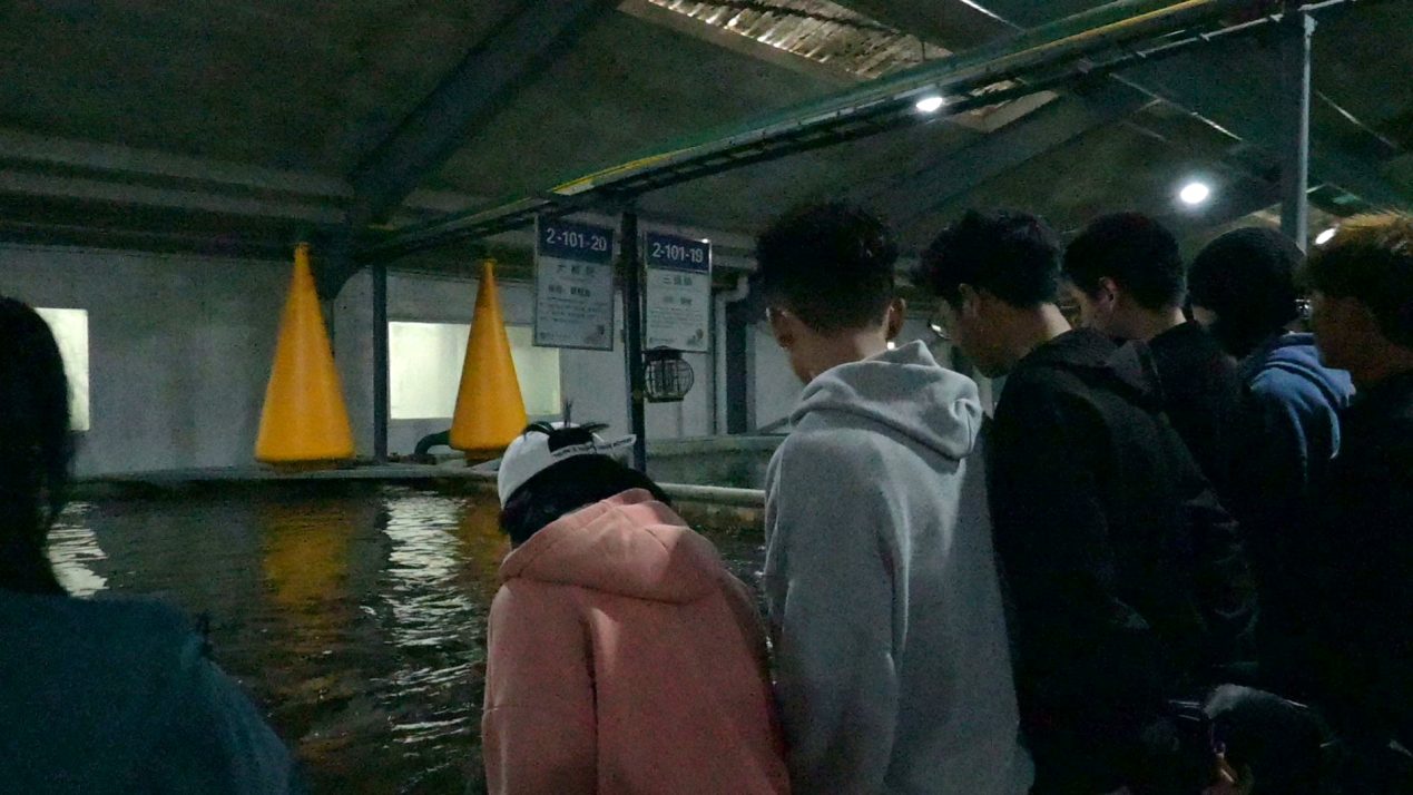 地铁车厢里的人 中度可信度描述已自动生成